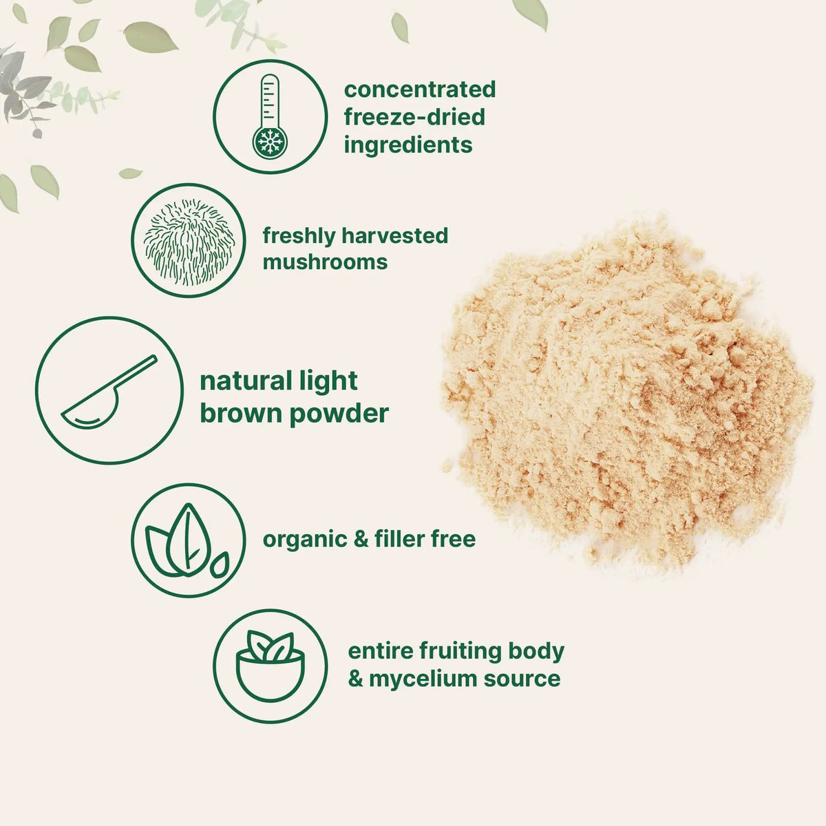 Lion's Mane Mushroom Powder – Natural Polysaccharides 454g by Oz-Direct.com