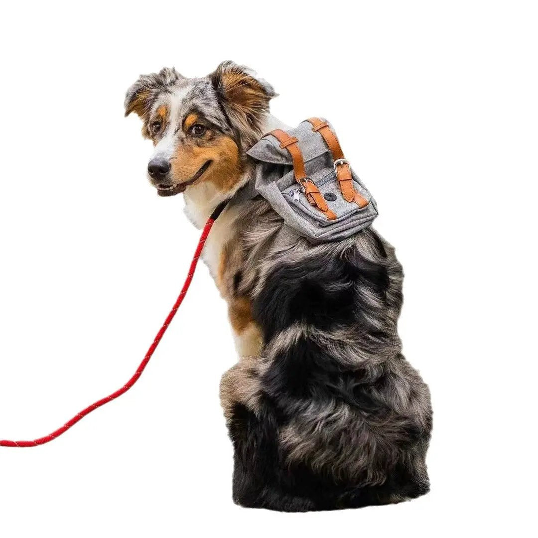 Dog backpack Pet small schoolbag with straps Portable by Oz-Direct.com