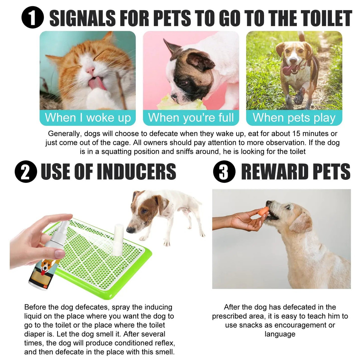 Pet Defecation Locator Spray, Pet Poop Location Pet Cats And Dogs Locate Defecation Inducers by Oz-Direct.com