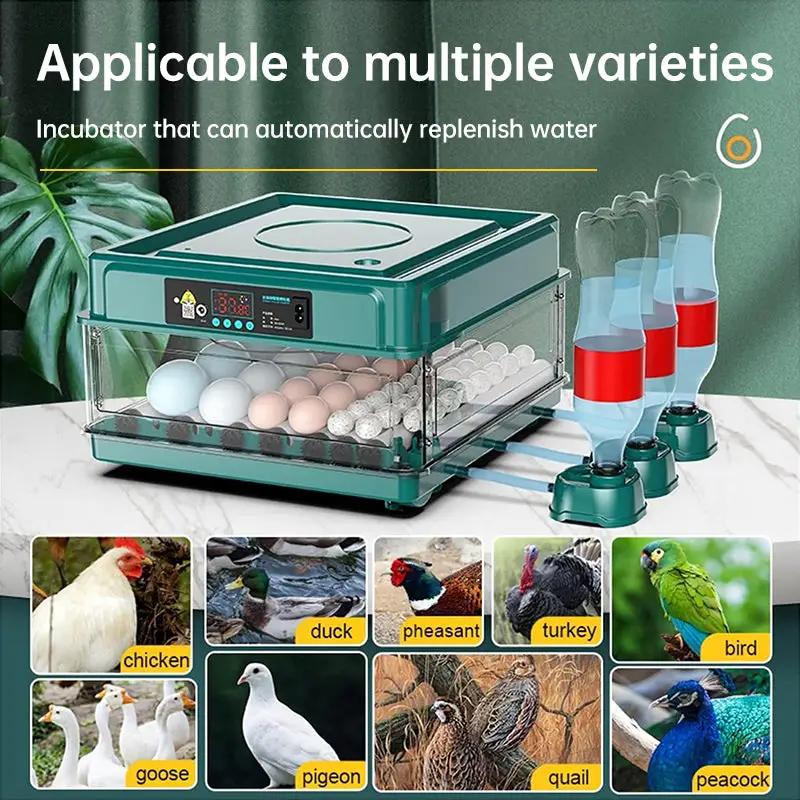 9 - 48 Egg Incubator: Automatic Egg - Turning & Humidity Monitoring. Duck Incubator with Auto - Water Ionic Waterbed by Oz-Direct.com
