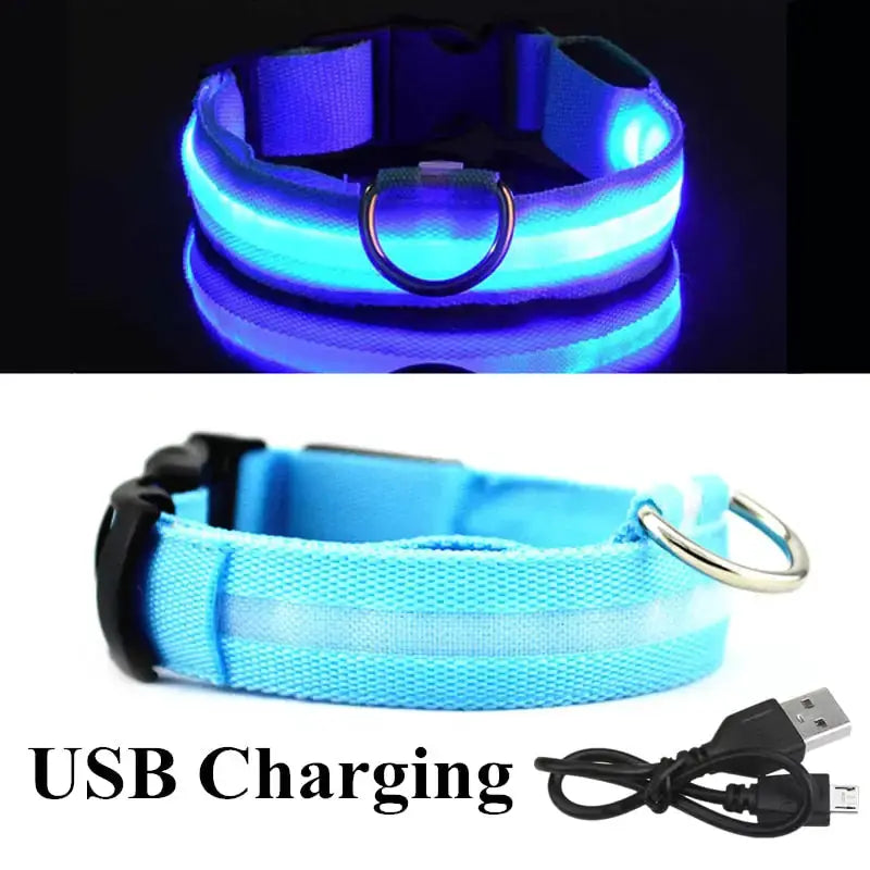 LED Dog Collar by Oz-Direct.com