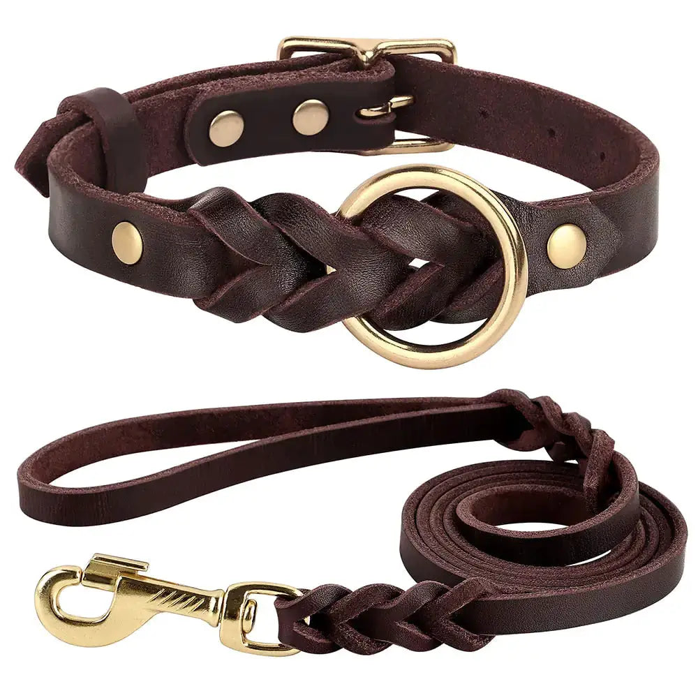 Dog Collar and Leash Set by Oz-Direct.com