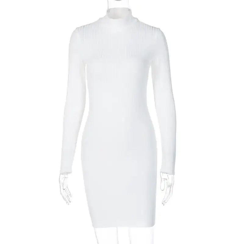 Victoria Ribbed Turtleneck Mini Dress by Oz-Direct.com