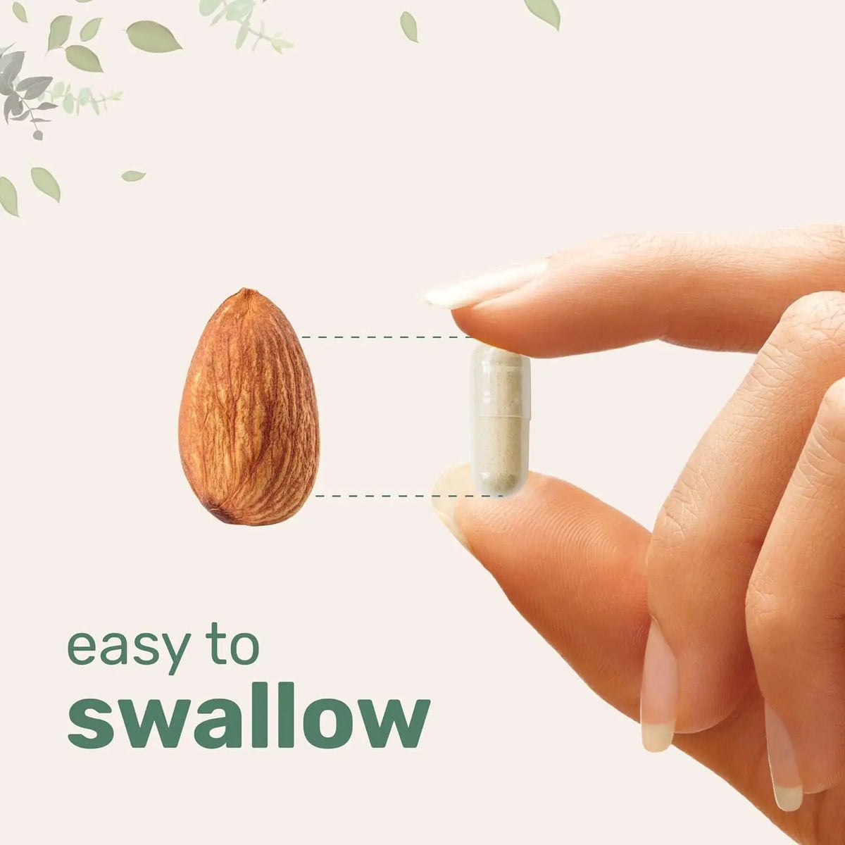 Lion Mane Capsule Refined Sulfur Phosphorus by Oz-Direct.com