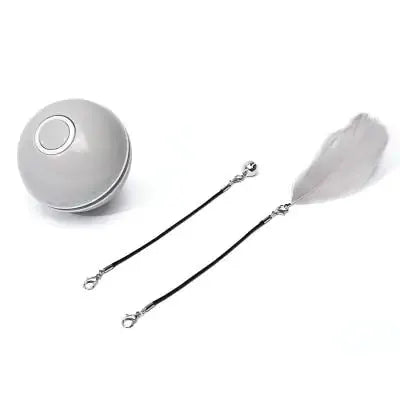 LED Colorful Cat Toy by Oz-Direct.com