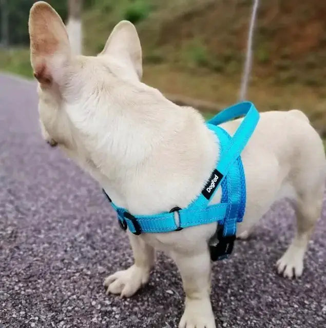 Adjustable Dog Harness by Oz-Direct.com