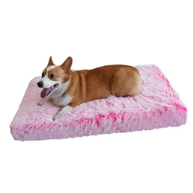 Plush Washable Dog Bed by Oz-Direct.com