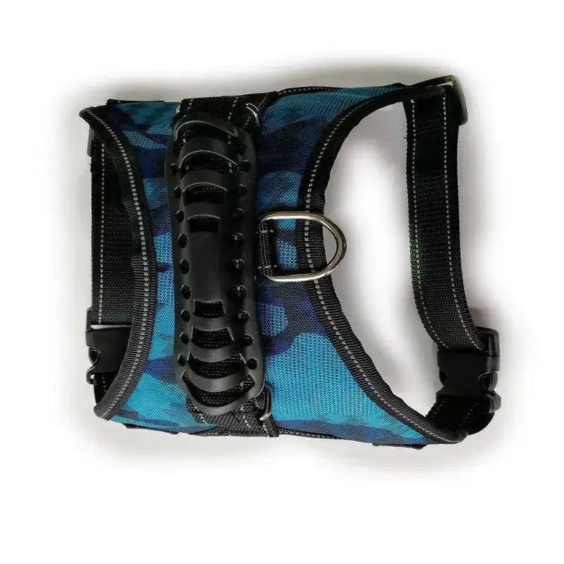 Dog Leashes by Oz-Direct.com
