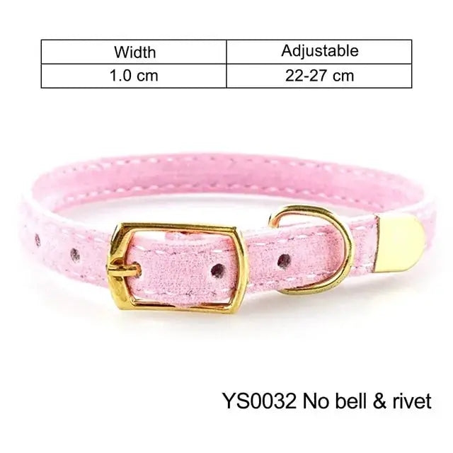 Collar For Small Cats & Dogs by Oz-Direct.com