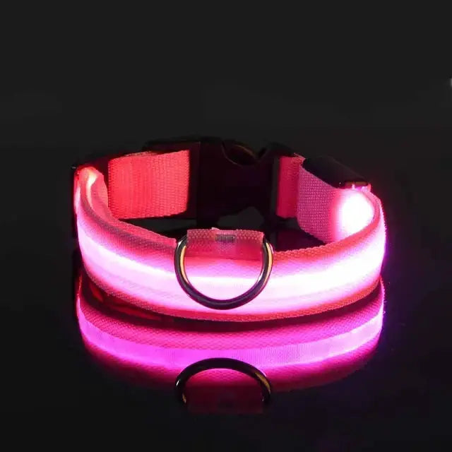 Flashing Glow Dog Collar by Oz-Direct.com