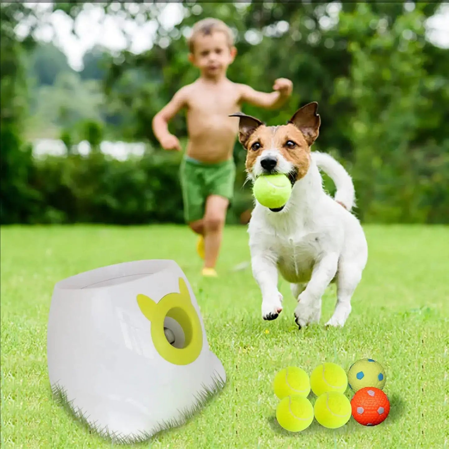 Auto Ball Launcher by Oz-Direct.com