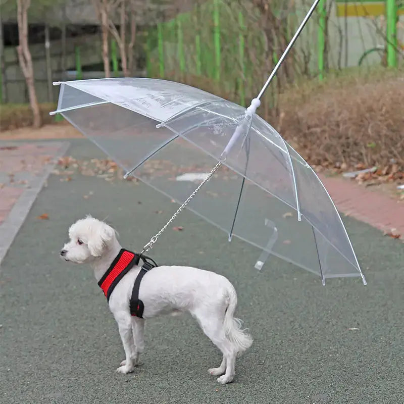 Pet Umbrella Leash by Oz-Direct.com