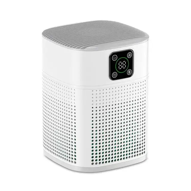 Portable Air Purifier by Oz-Direct.com