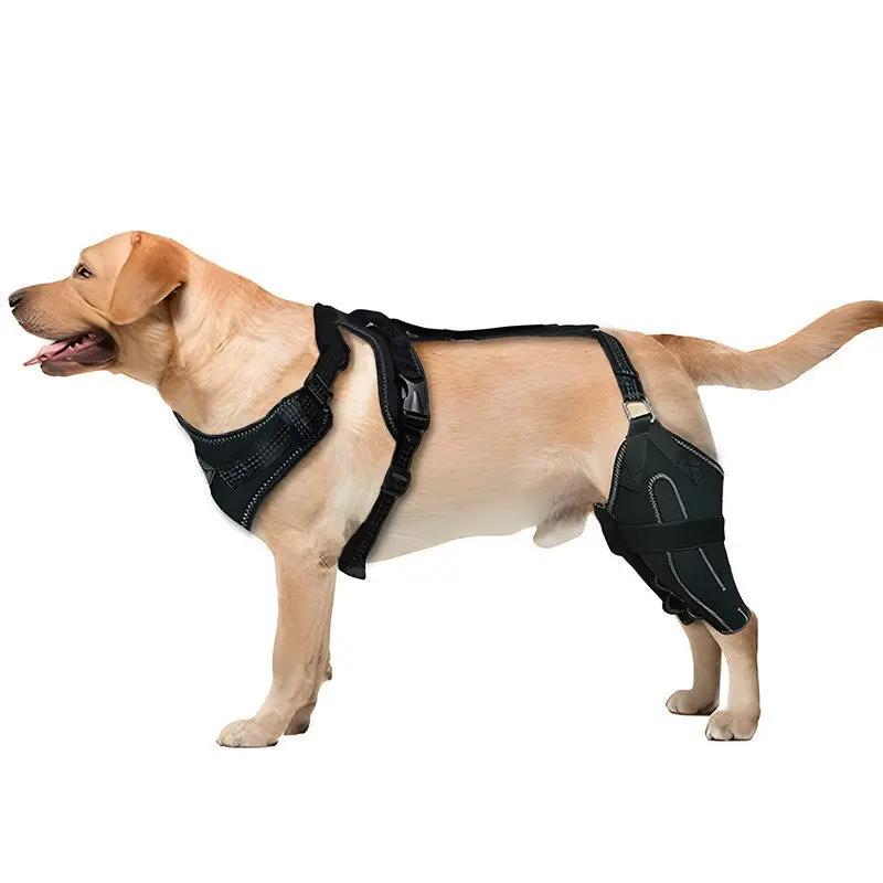 Dog hind-leg protective gear with thigh guard, black, adjustable straps; by eprolo