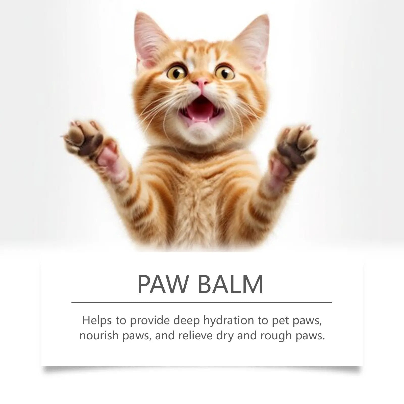 Yegbong Paw Balm for pets, orange kitten with raised paws beside PAW BALM sign