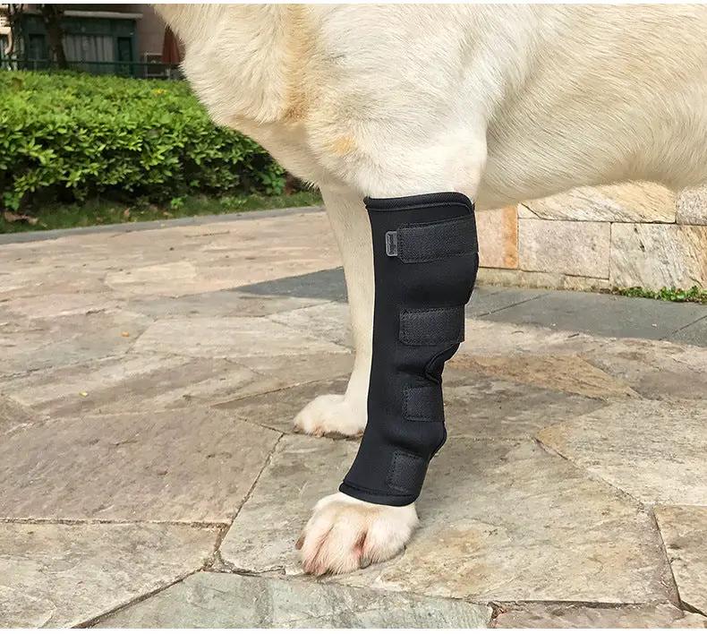 Dog hock brace by eprolo on a black neoprene leg wrap with Velcro straps