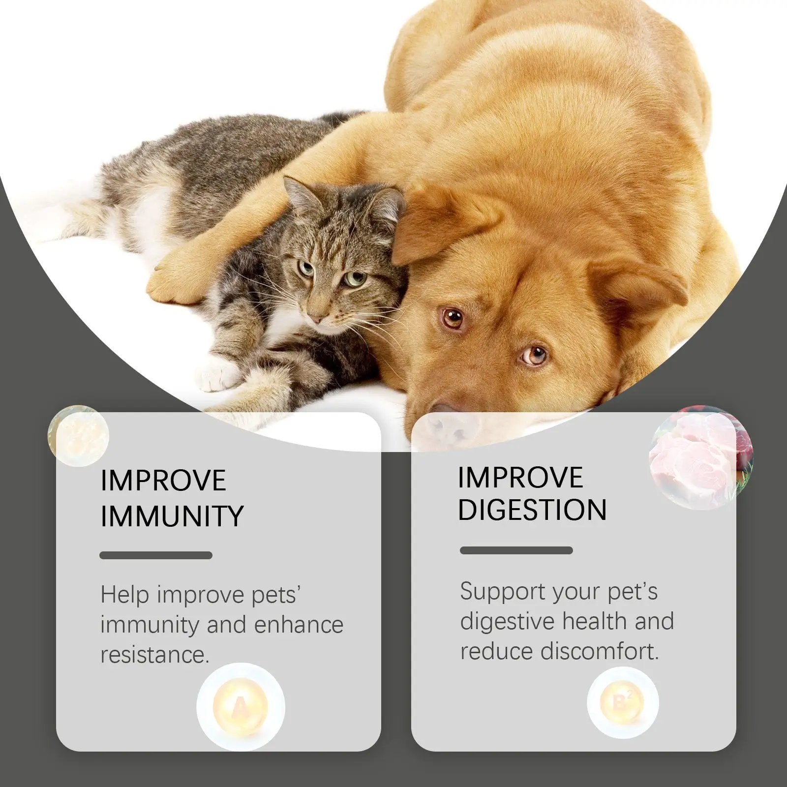 eprolo Cats and Dogs General Compound Probiotic Tablets; cat and dog cuddling together