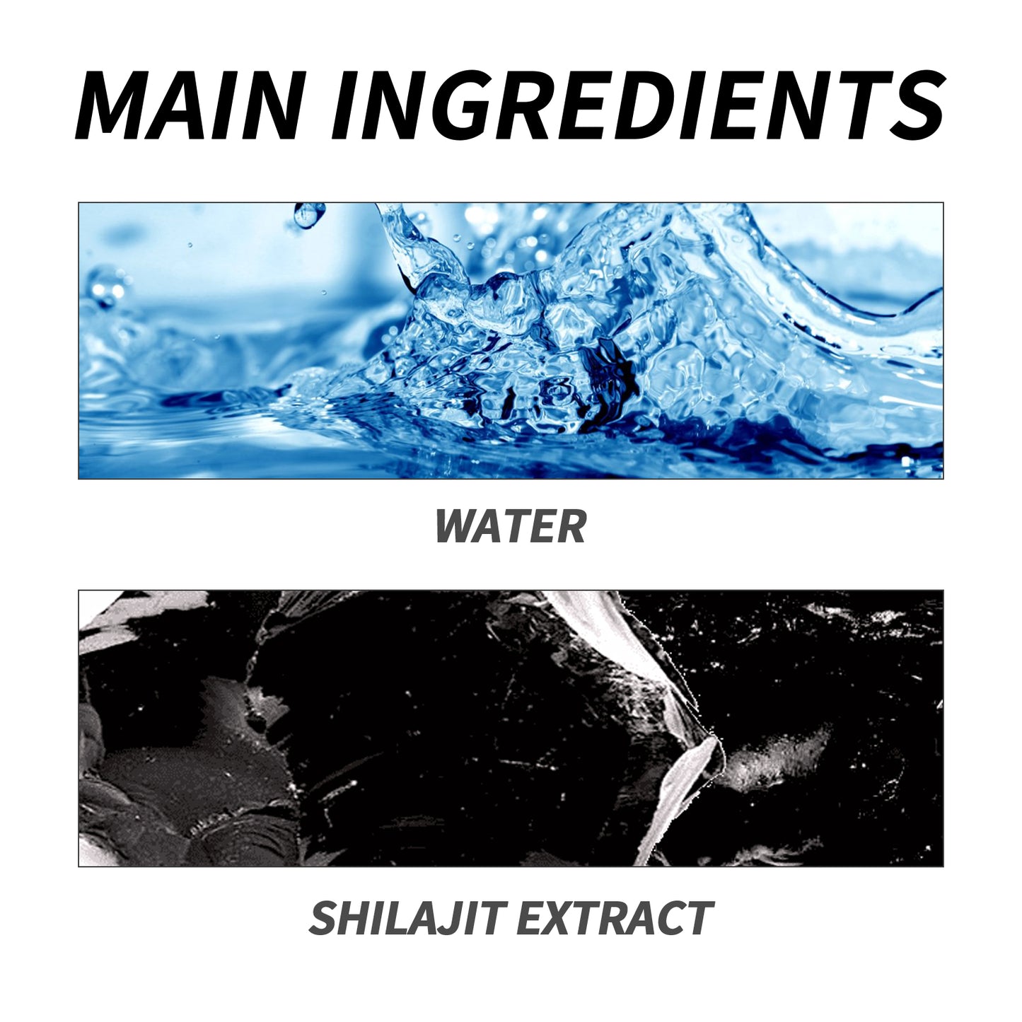 Shilajit Dietary Supplement.