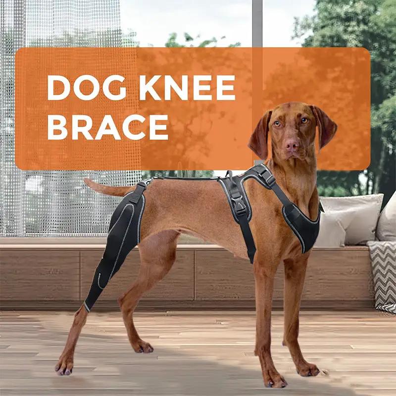 eprolo dog knee brace and hind-leg protective gear; black thigh guards