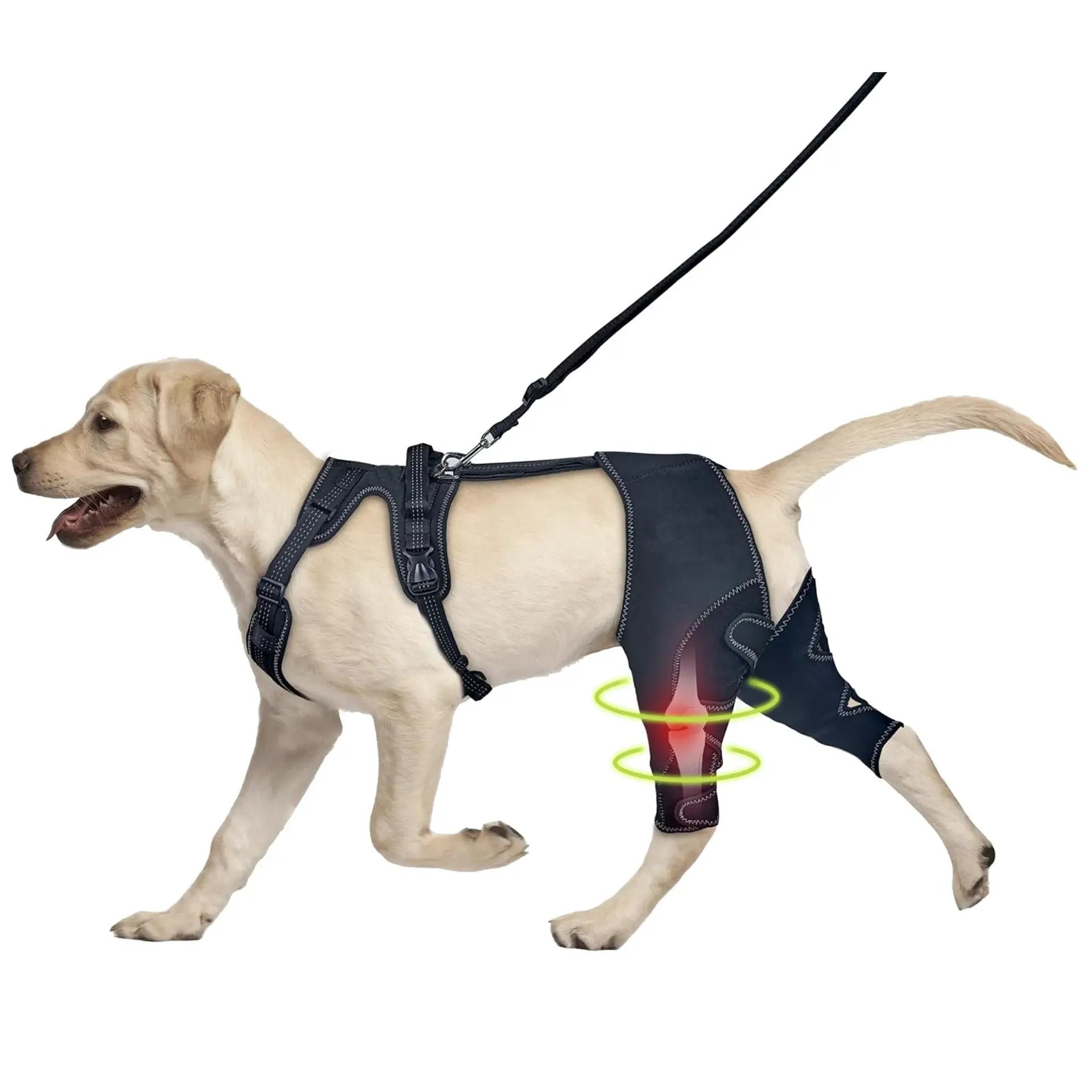 eprolo pet knee brace for dogs; black leg support with adjustable straps for post-surgery rehabilitation