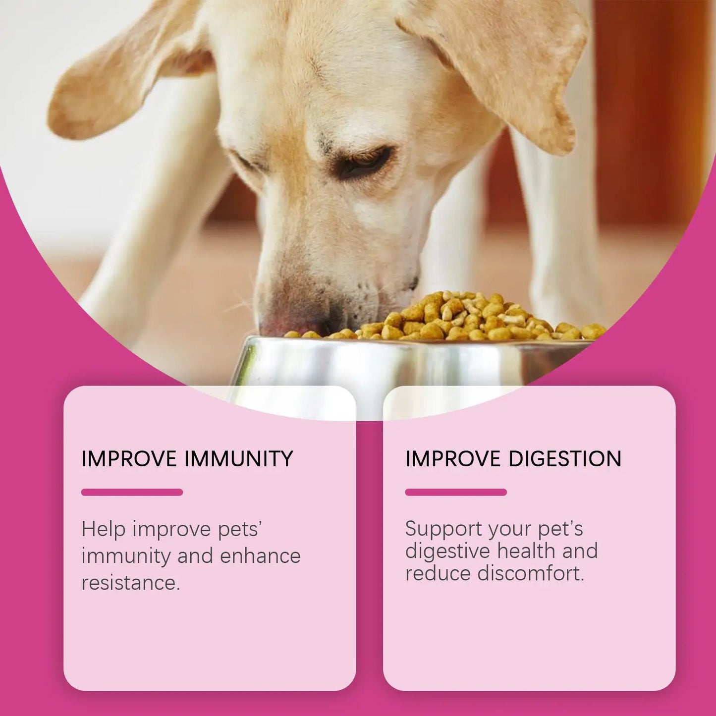 Dog probiotic tablets product image: a dog eating dry kibble from a stainless steel bowl.