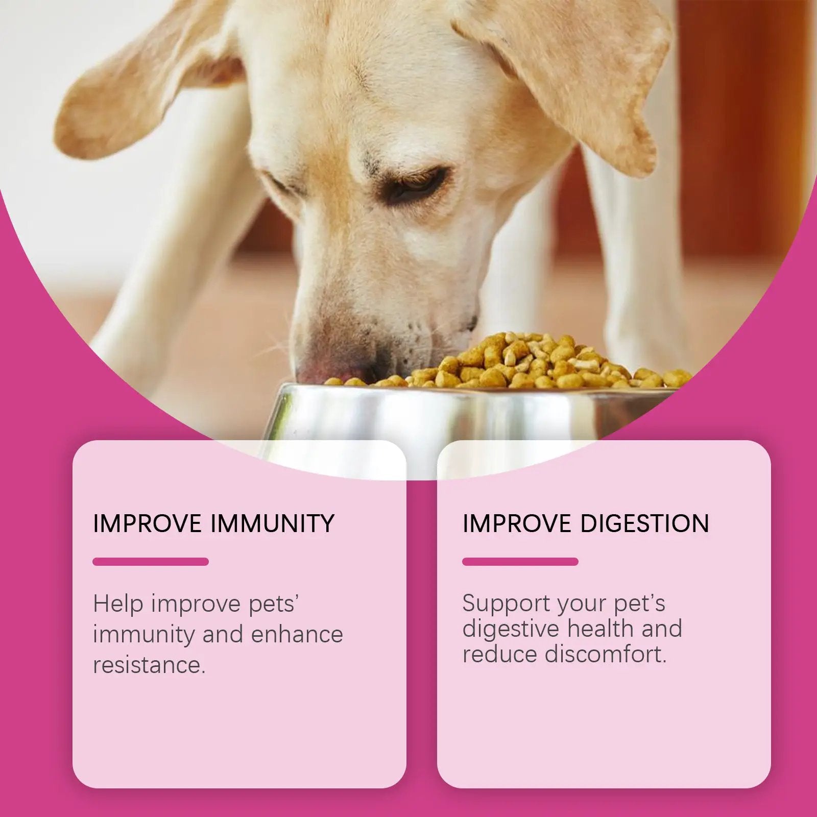 Dog probiotic tablets product image: a dog eating dry kibble from a stainless steel bowl.