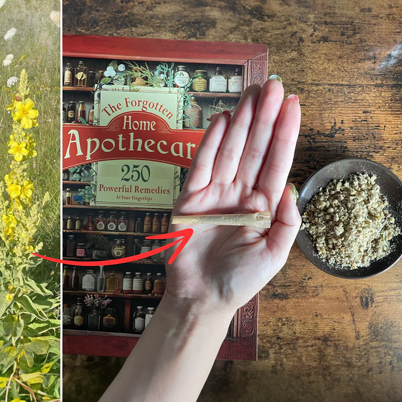 The Forgotten Home Apothecary: 250 Natural Remedies for Family Wellness