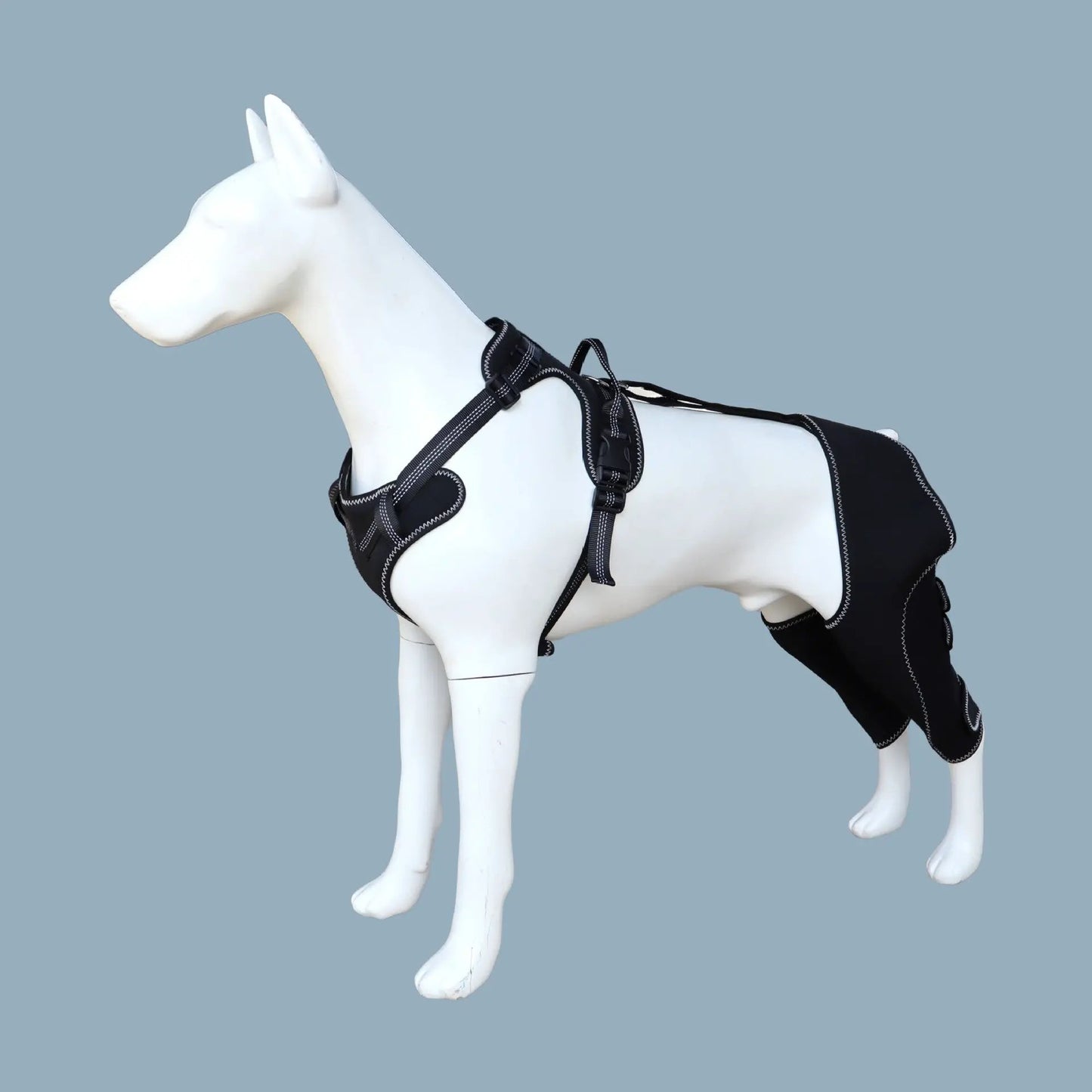 Dog knee brace by eprolo; black leg support with white stitching on a harness
