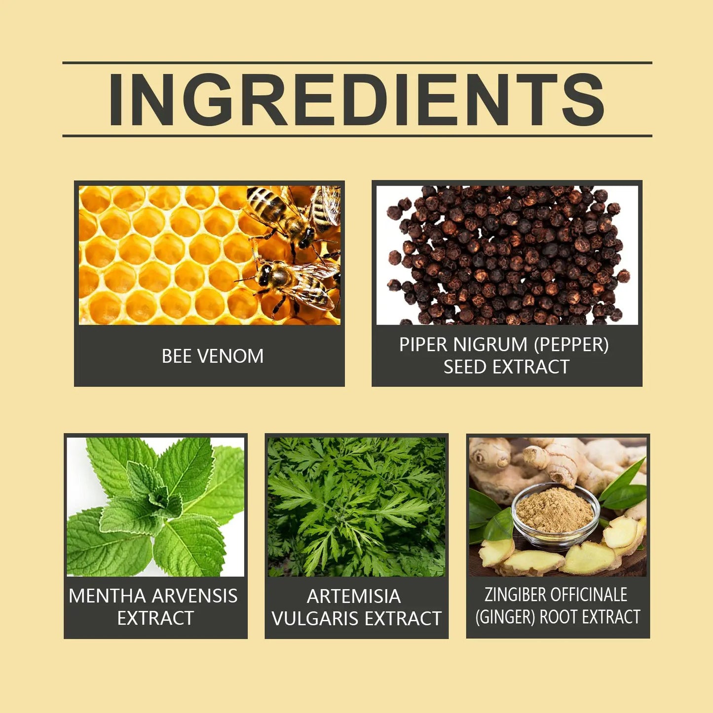 Bee Venom Lymphatic Patch ingredients infographic showing bee venom and Piper nigrum seed extract among six ingredients