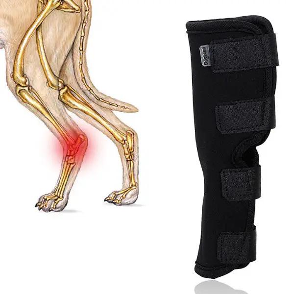 Dog hock brace by eprolo; black neoprene hock support with four Velcro straps