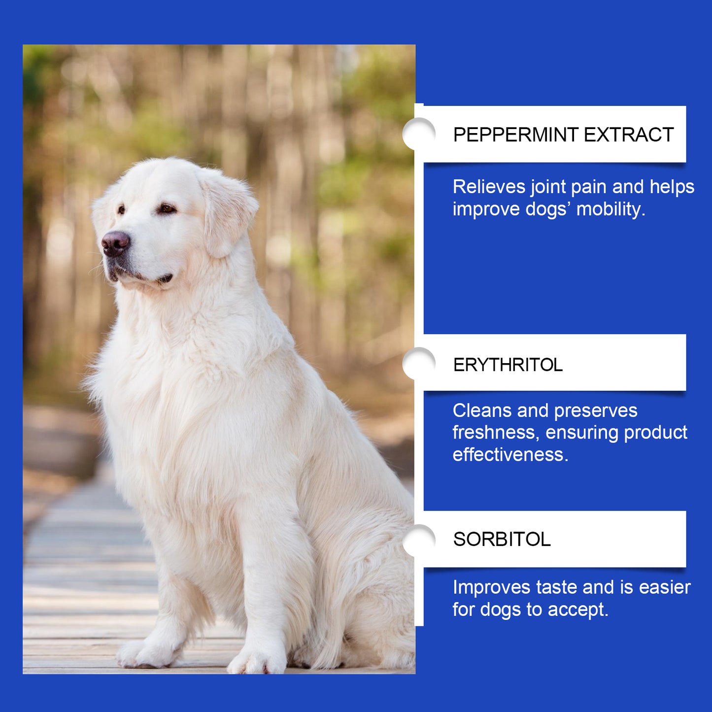 Pet Dog Joint Supplement To Enhance Nutrition Care Joint Health Pet Joint Care Agent