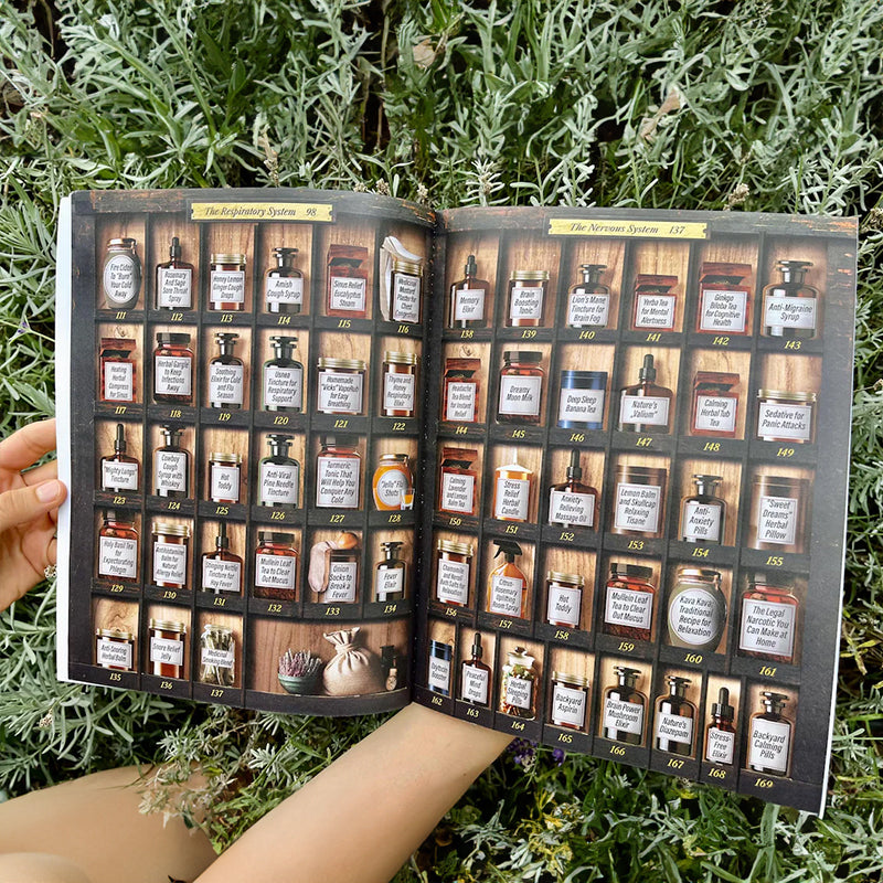 The Forgotten Home Apothecary: 250 Natural Remedies for Family Wellness