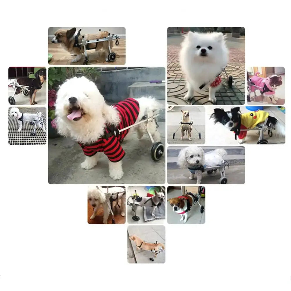 Pet Wheelchair Walk Cart Scooter for dogs by eprolo, 2-wheel rear hind-leg wheelchair collage