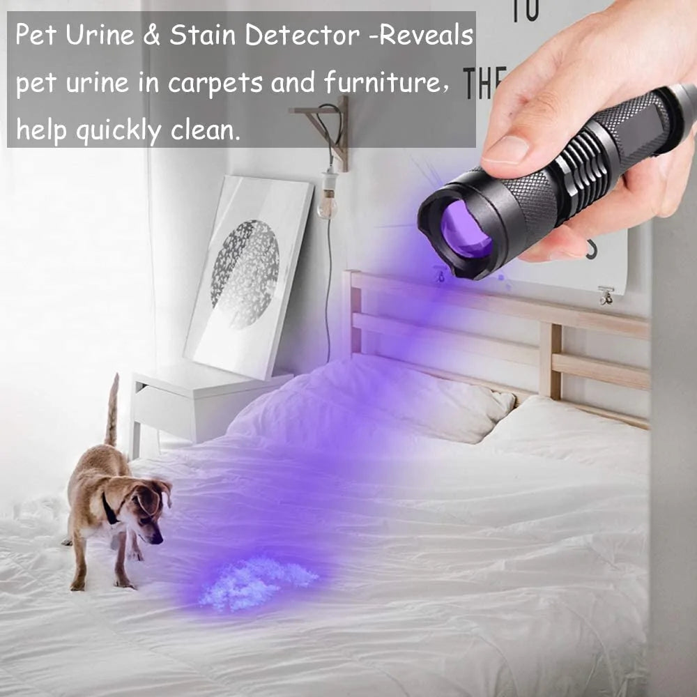 UV LED Flashlight