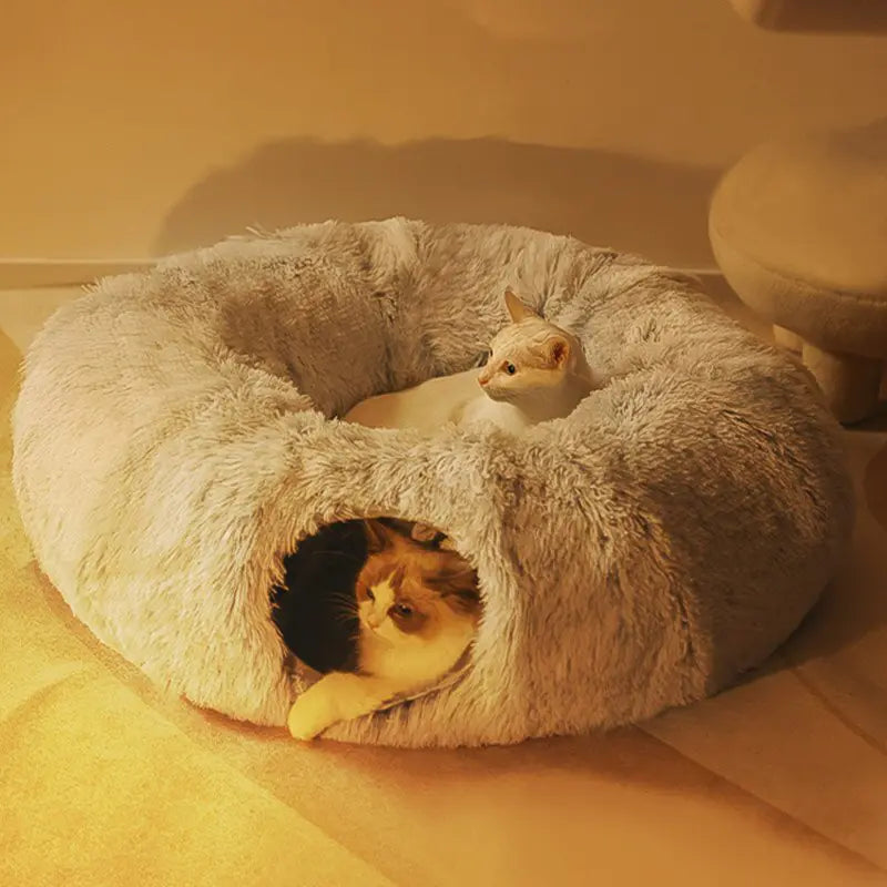 Cat Beds House