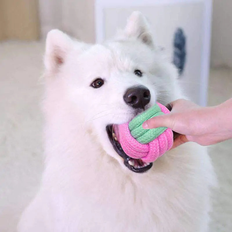 Pet Dog Chew Toys